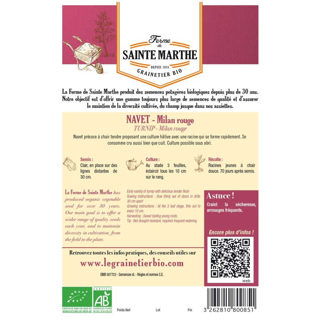 Navet de Milan Rouge Bio - Ferme de Sainte Marthe