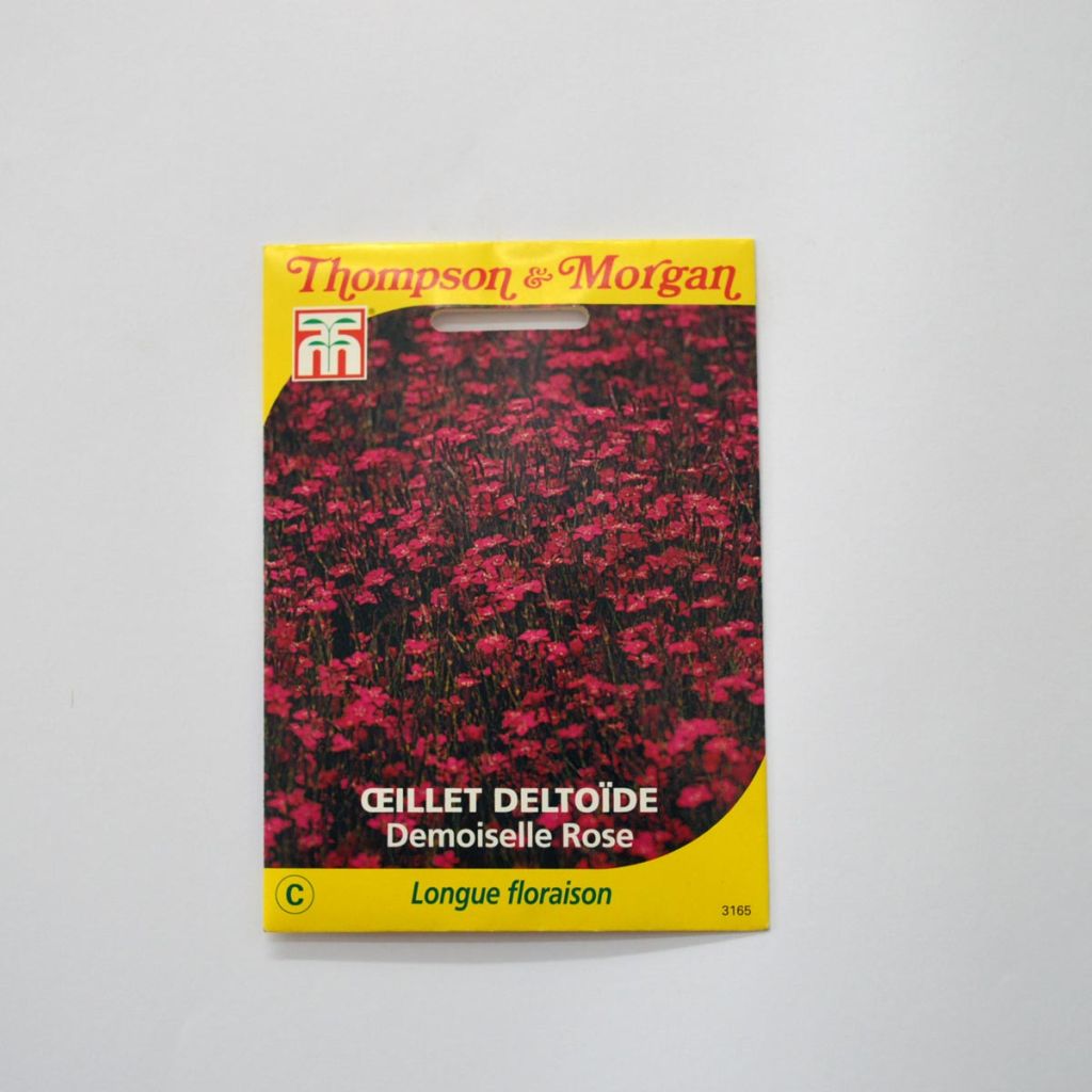 Dianthus deltoides Demoiselle Rose Seeds