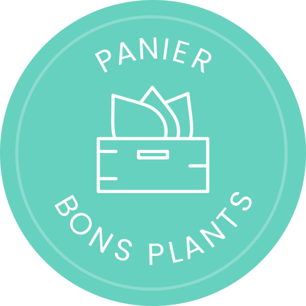 Rescue plant box