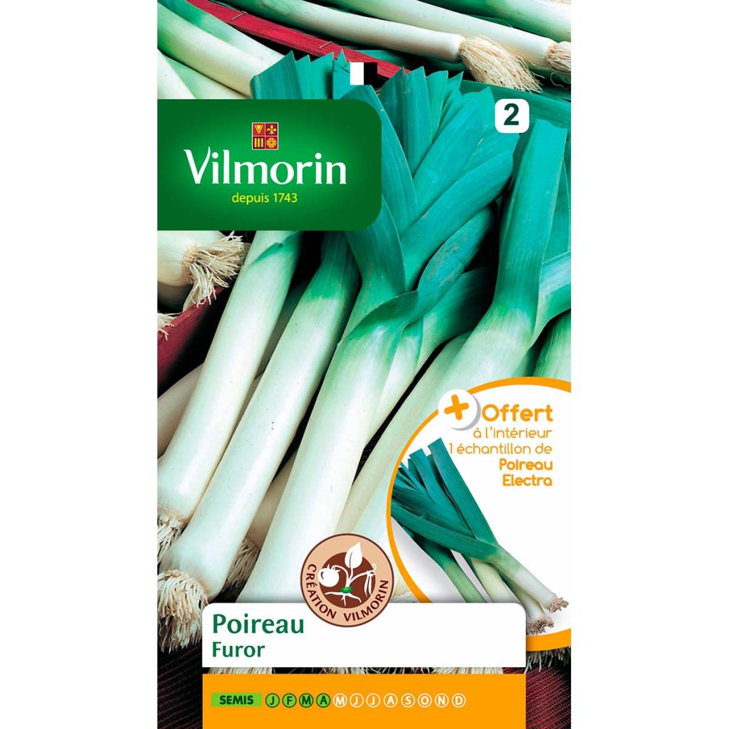 Furor Leek (Vilmorin seeds Creation) - Allium porrum