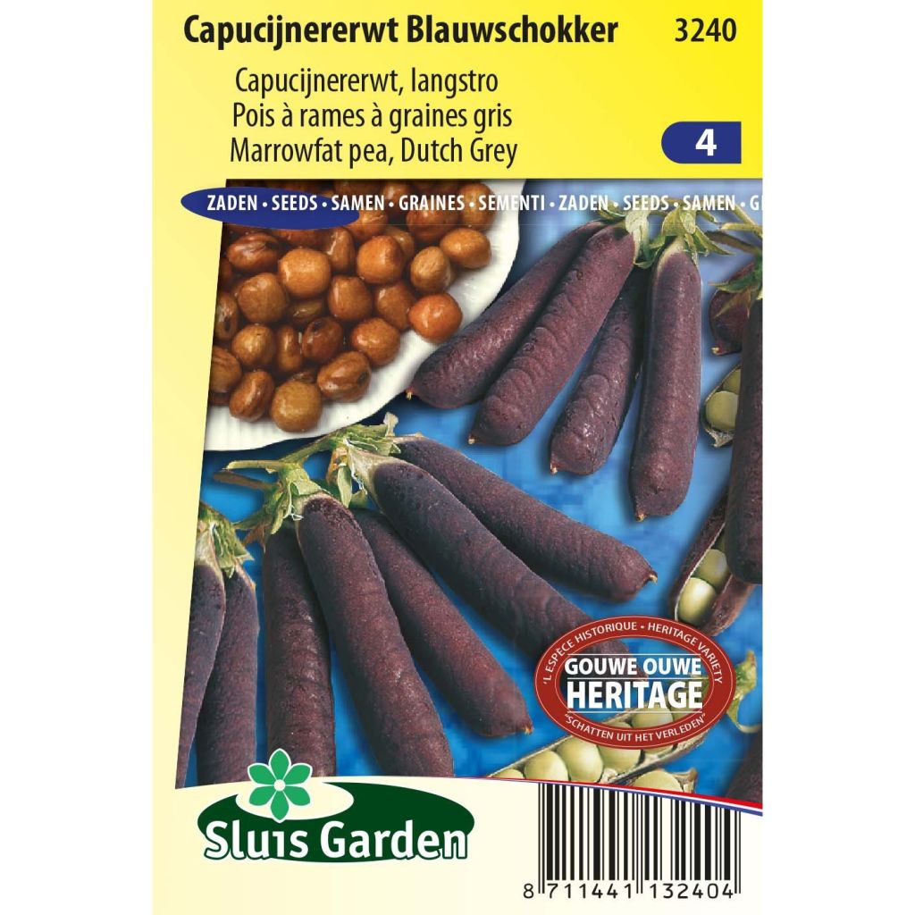 Pea Blauwschokker - Purple-podded