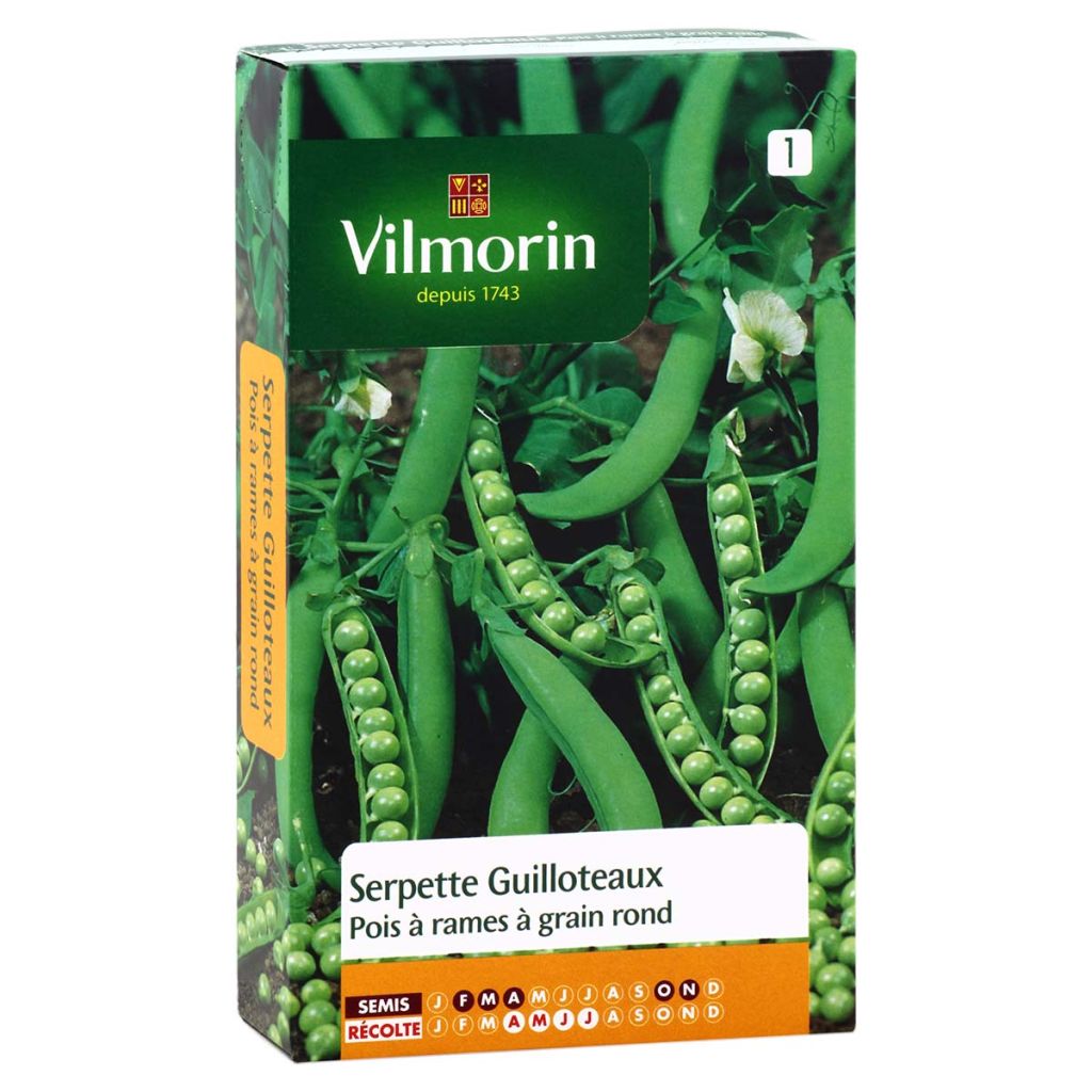 Climbing Serpette Guilloteaux Pea with Round Peas