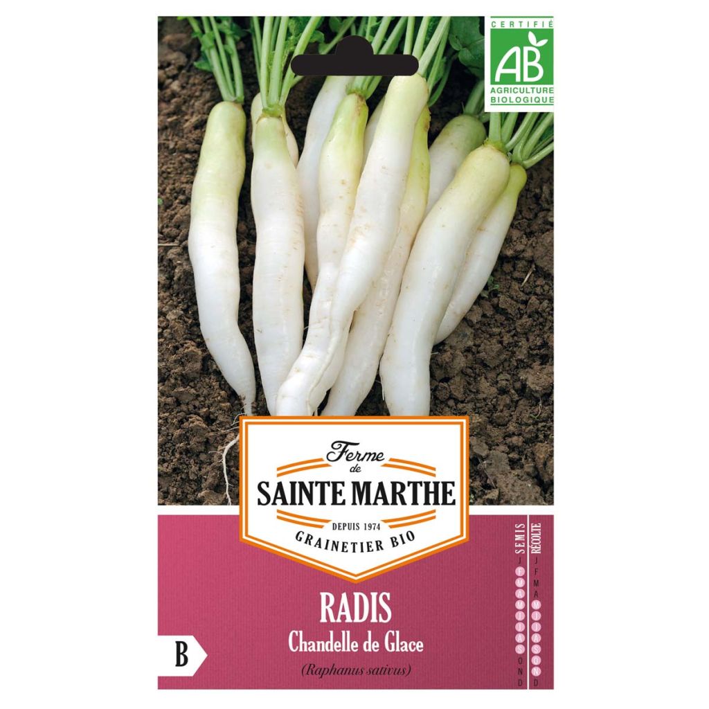 Radish White Icicle - Ferme de Sainte Marthe Seeds