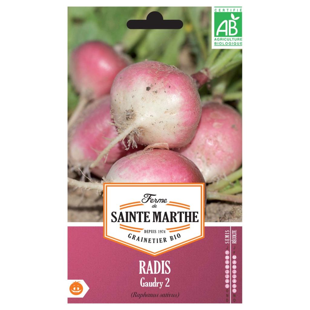 Radis Gaudry 2 AB - Ferme de Ste Marthe