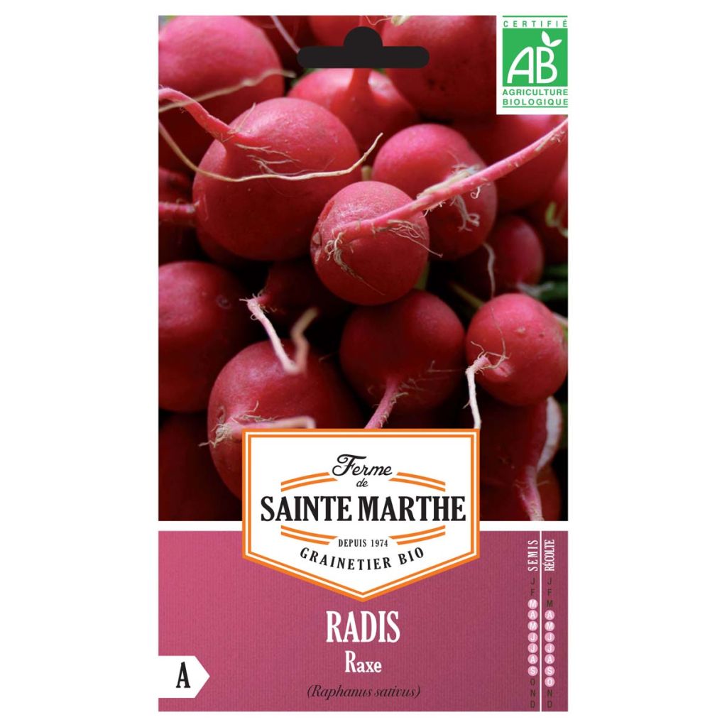 Radis Raxe AB - Ferme de Ste Marthe