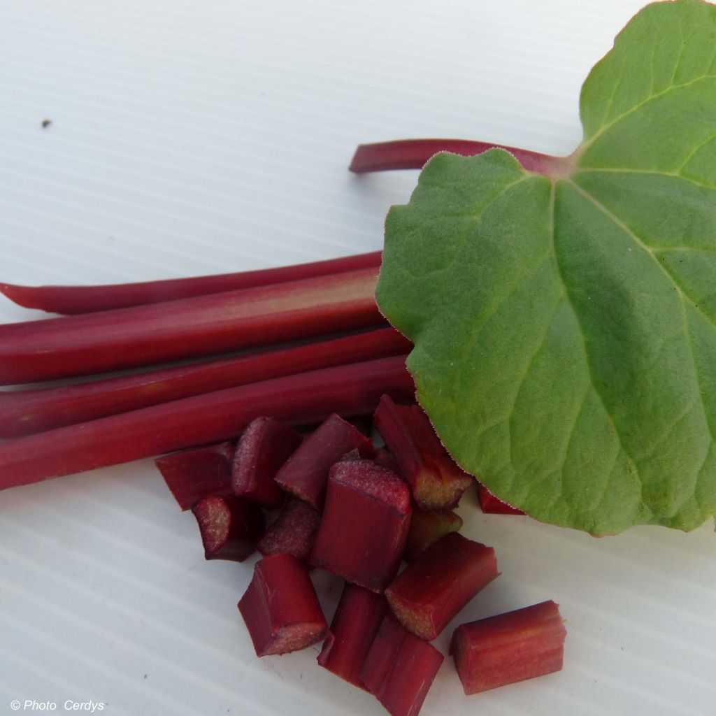 Fulton's Strawberry Surprise Rhubarb