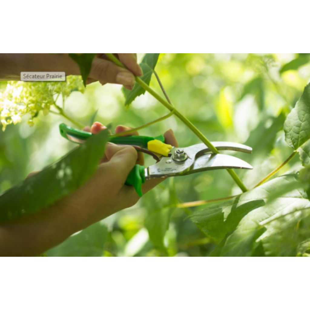 Pruning shears by Opinel