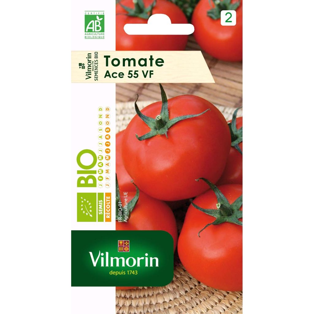 Tomato Ace 55 VF Bio - Vilmorin seeds