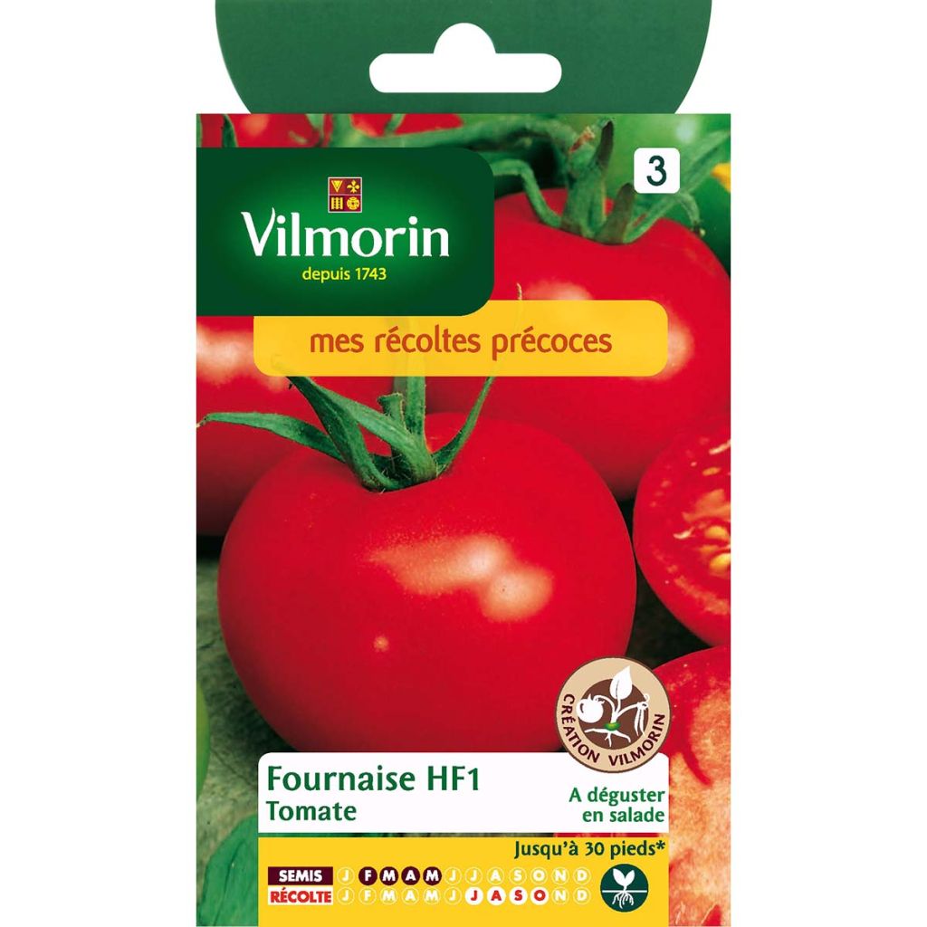 Fournaise F1 Tomato - Vilmorin seeds