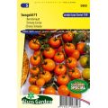 Tomate Sungold F1 - Tomate Cerise 