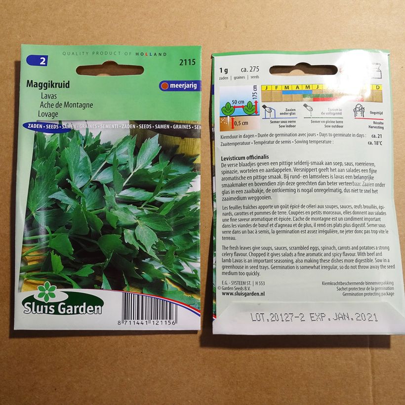 Example of Lovage - Levisticum officinalis specimen as delivered