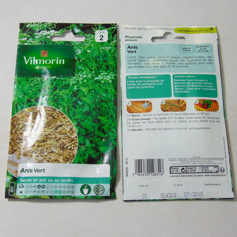 Example of Anise - Vilmorin Seeds per 2 g seed pack specimen as delivered
