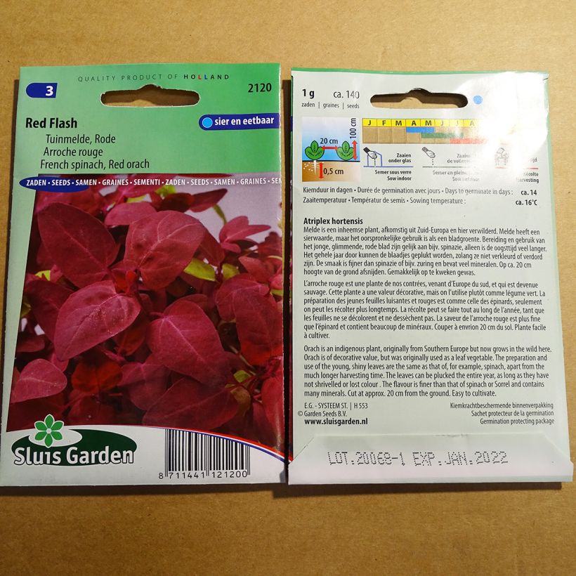 Example of Red Orach specimen as delivered