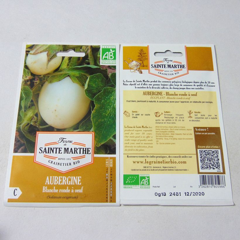 Example of Aubergine Blanche Ronde à Oeuf - Ferme de Sainte Marthe seeds per pack of 40 seeds (0.18g) specimen as delivered