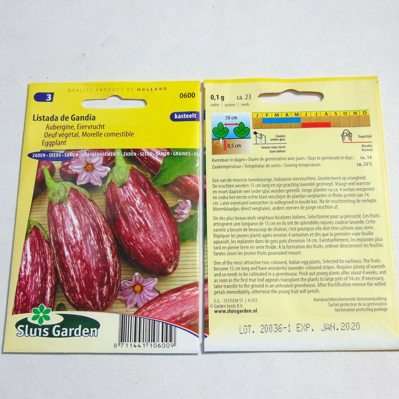 Example of Aubergine Listada de Gandia - Eggplant per pack of 200 seeds (1g) specimen as delivered