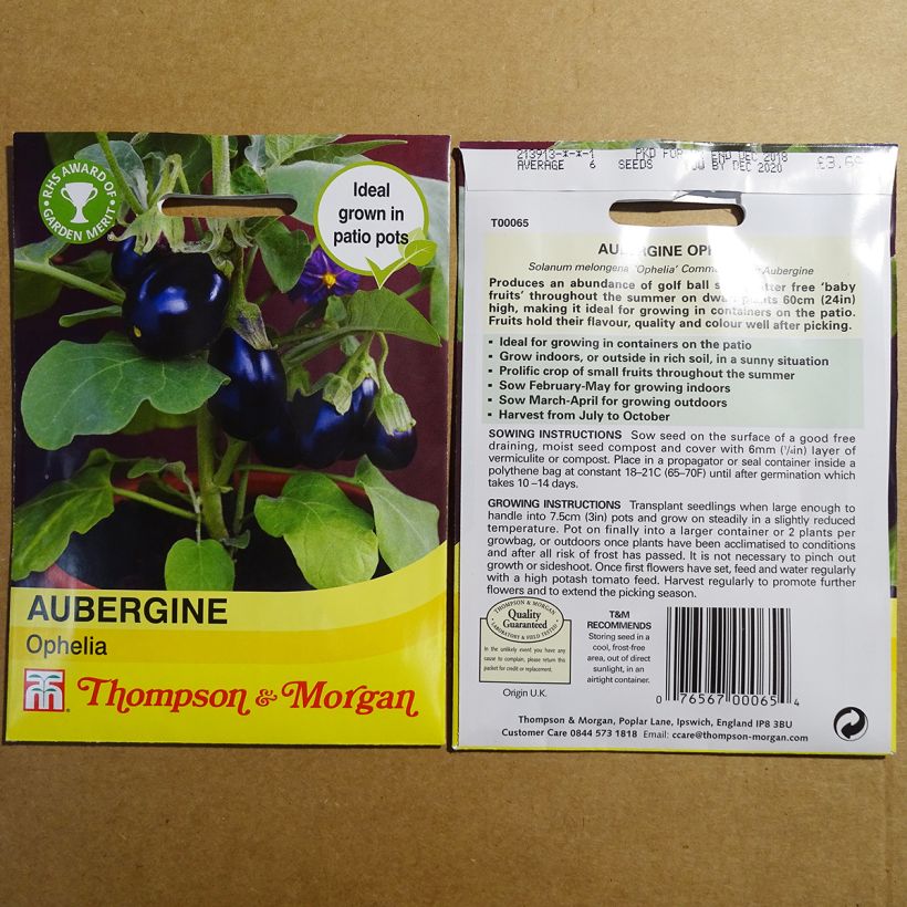 Example of Aubergine Ophelia F1 per pack of 6 seeds specimen as delivered