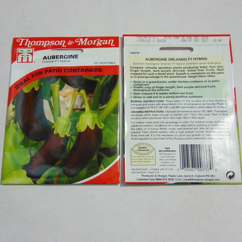 Example of Aubergine Orlando per pack of 6 seeds specimen as delivered
