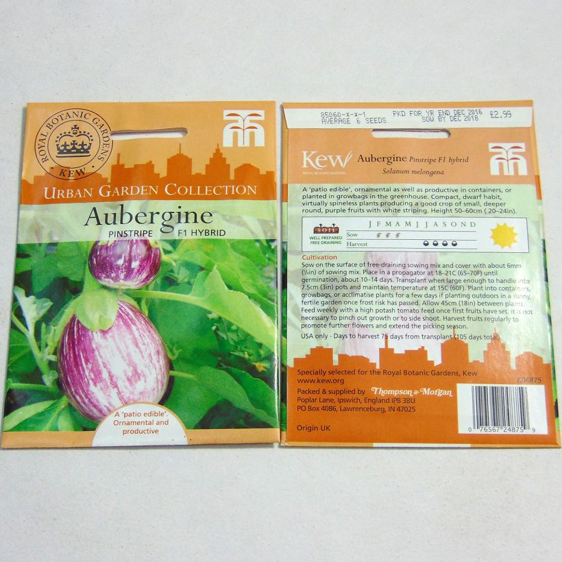 Example of Aubergine Pinstripe per pack of 6 seeds specimen as delivered