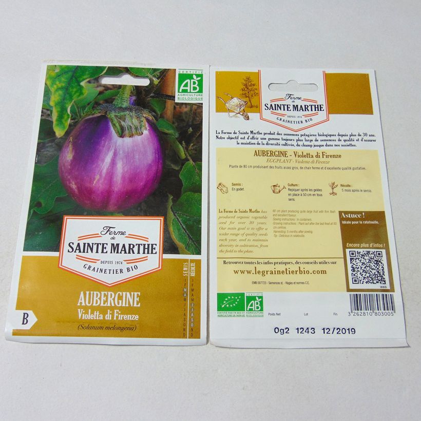 Example of Aubergine Violetta Di Firenze - Ferme de Sainte Marthe seeds per pack of 50 seeds (0.2g) specimen as delivered