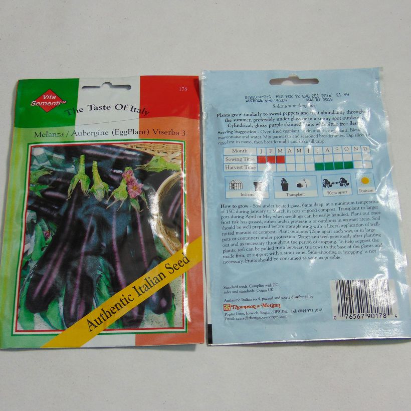 Example of Aubergine Viserba 3 - Solanum melongea le sachet de 660 graines specimen as delivered