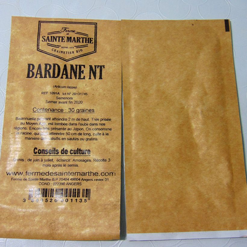 Example of Burdock - Ferme de Sainte Marthe seeds per pack of 150 seeds (1g) specimen as delivered