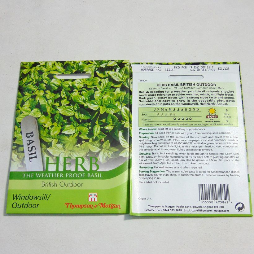 Example of Basil British Outdoor - Ocimum basilicum per pack of 100 seeds specimen as delivered