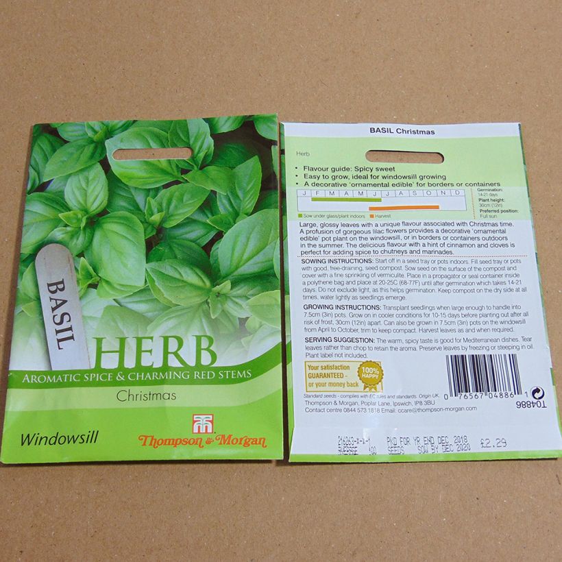 Example of Christmas Basil - Ocimum basilicum per pack of 150 seeds specimen as delivered