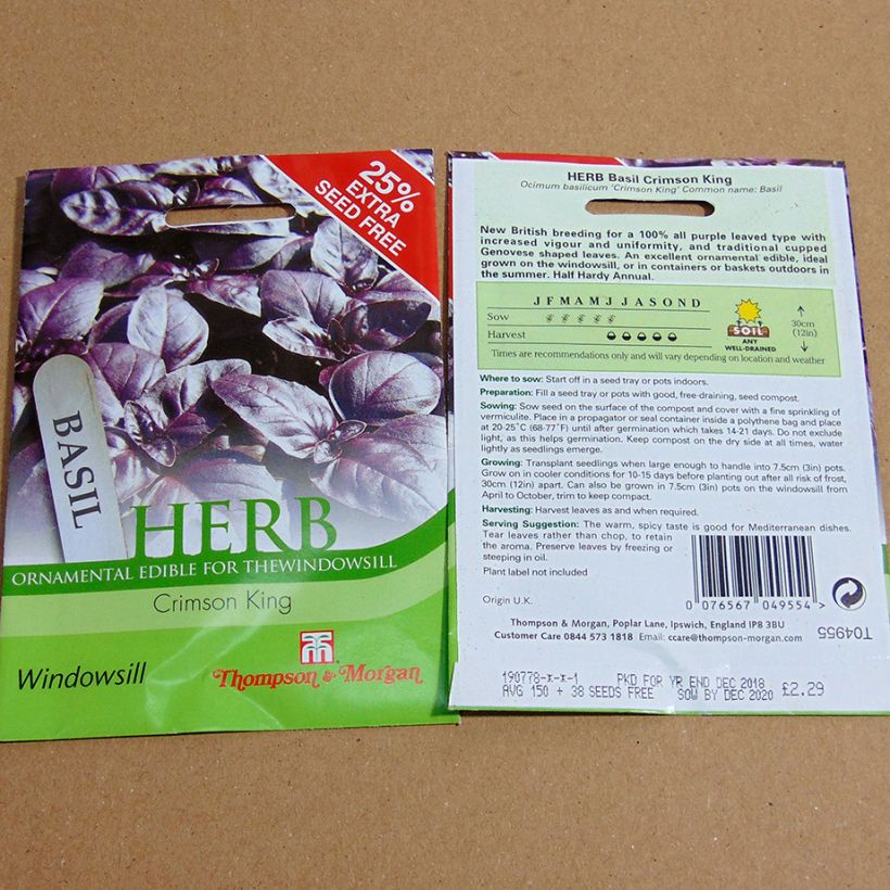 Example of Basil Crimson King - Ocimum basilicum per pack of 150 seeds specimen as delivered