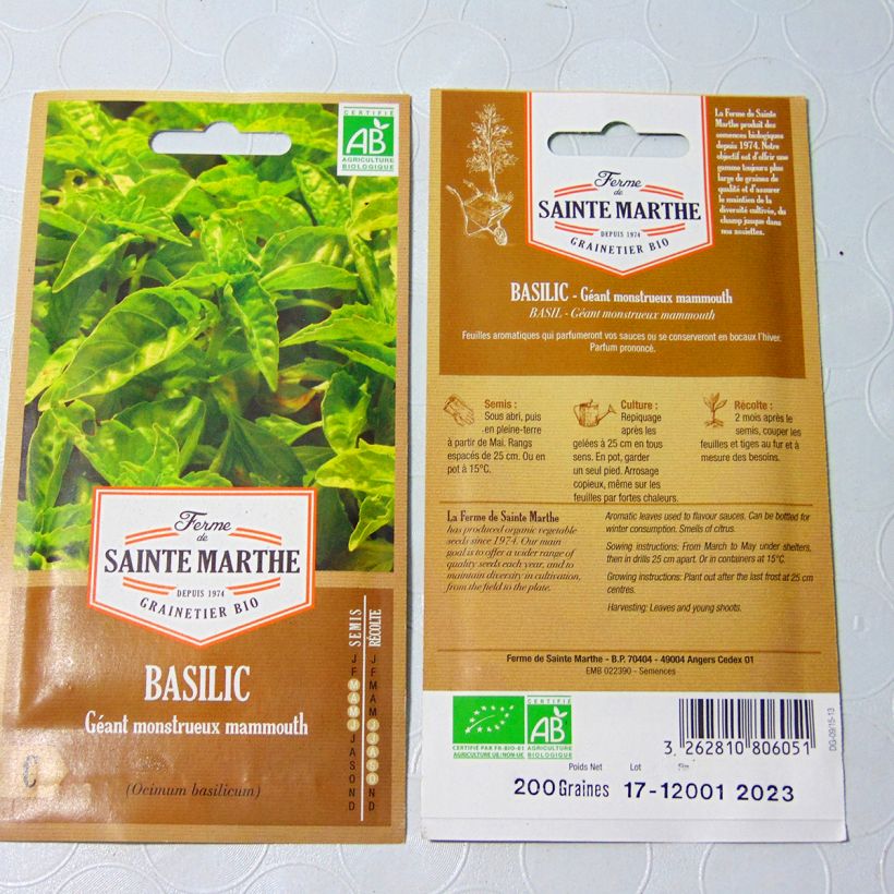 Example of Mammoth Basil - Ferme de Sainte Marthe Seeds per pack of 150 seeds (0.24g) specimen as delivered