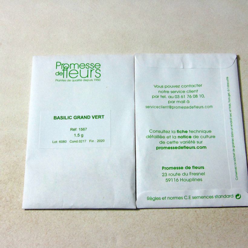 Example of Sweet Basil - Large Leaf Italian Basil per pack of 800 seeds (1,5g) specimen as delivered