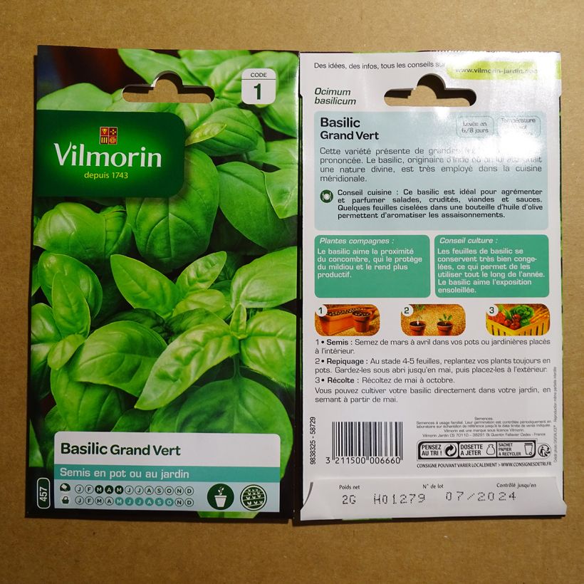 Example of Sweet Basil - Vilmorin Large Leaf Italian Basil per pack of 1600 seeds (2g) specimen as delivered