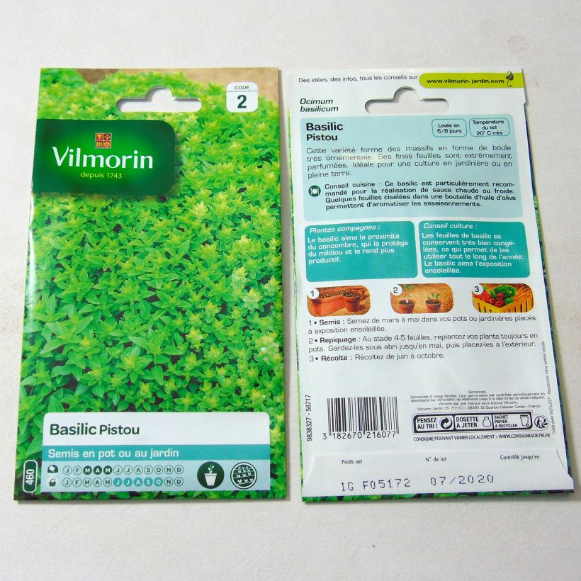 Example of Pistou Basil - Vilmorin Seeds per pack of 800 seeds (1g) specimen as delivered