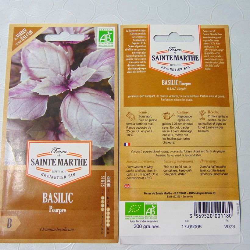 Example of Organic Purple Basil - Ferme de Sainte Marthe seeds per pack of 250 seeds specimen as delivered