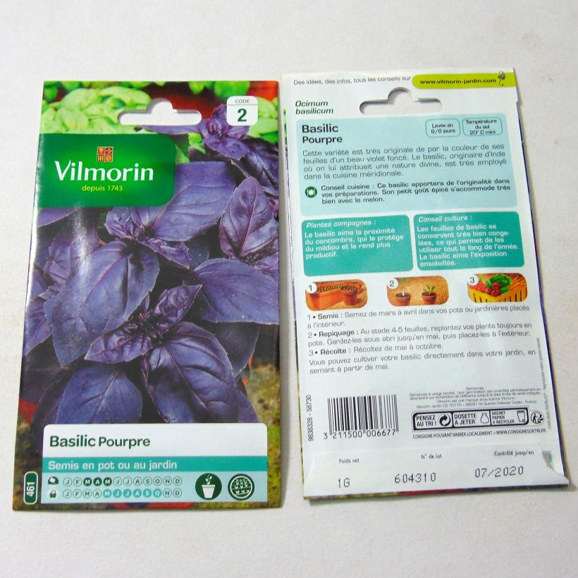 Example of Purple Basil - Vilmorin Seeds per pack of 800 seeds (1g) specimen as delivered