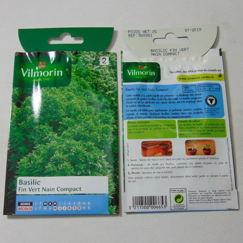 Example of Basil Fino Verde - Bush basil Vilmorin seeds per pack of 1600 seeds (2g) specimen as delivered