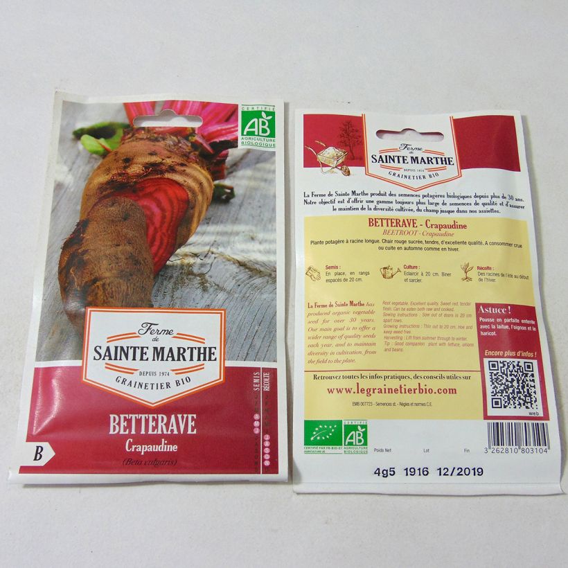 Example of Crapaudine Beetroot - Ferme de Sainte Marthe Seeds per pack of 250 seeds (4.5g) specimen as delivered