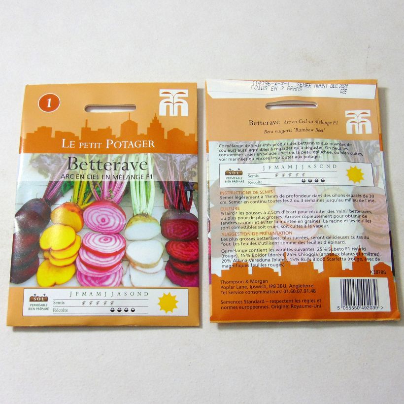 Example of Rainbow Beet Beetroot - Beta vulgaris per pack of 250 seeds (5g) specimen as delivered