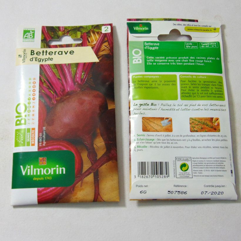 Example of Flat of Egypt Beetroot - Vilmoron Seeds per pack of 300 seeds (6g) specimen as delivered
