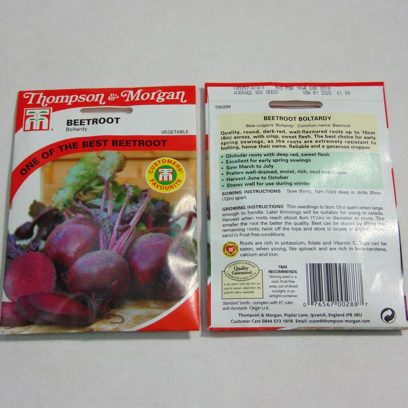 Example of Boltardy Red Beetroot - Beta vulgaris per pack of 350 seeds specimen as delivered
