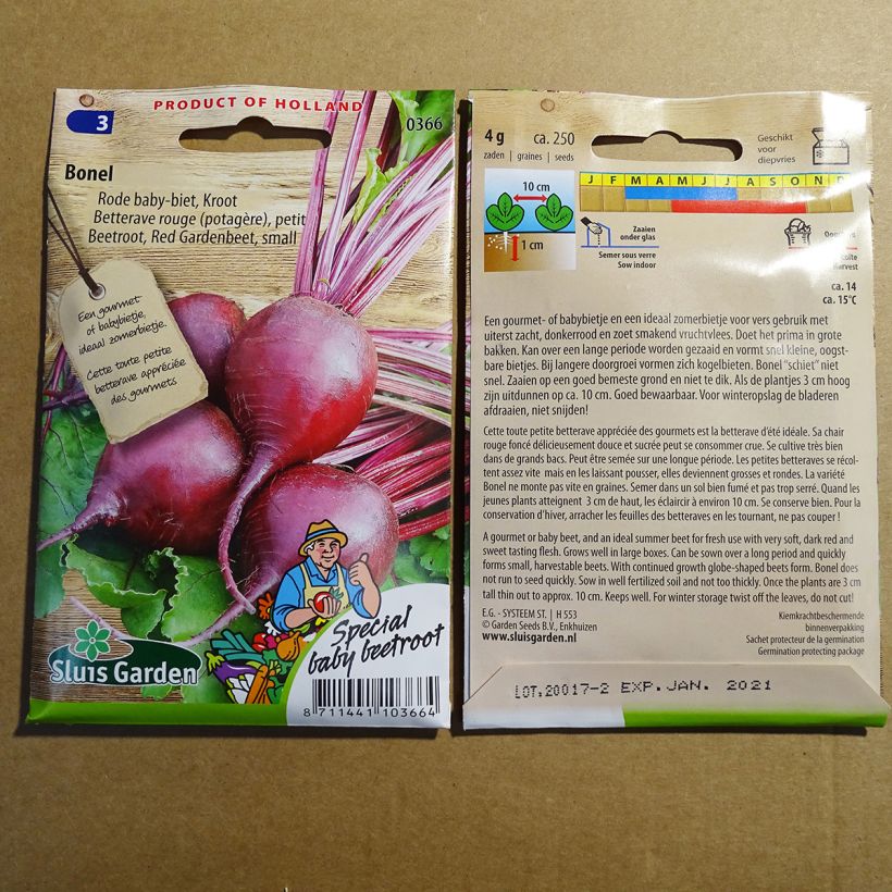 Example of Bonel Red Beetroot - Beta vulgaris per pack of 250 seeds (4g) specimen as delivered