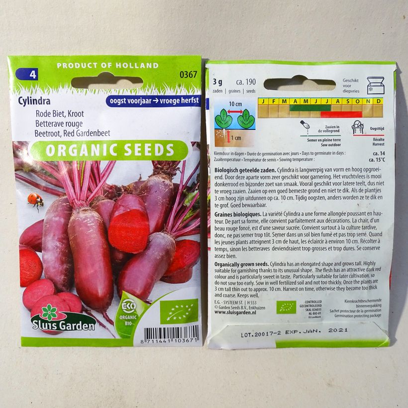 Example of Red Beetroot Cylindra specimen as delivered