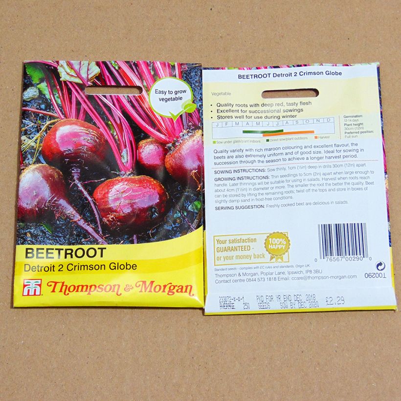 Example of Detroit 2 Crimson Globe Red Beetroot - Beta vulgaris specimen as delivered