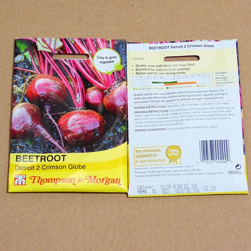Example of Detroit 2 Crimson Globe Red Beetroot - Beta vulgaris per pack of 300 seeds specimen as delivered