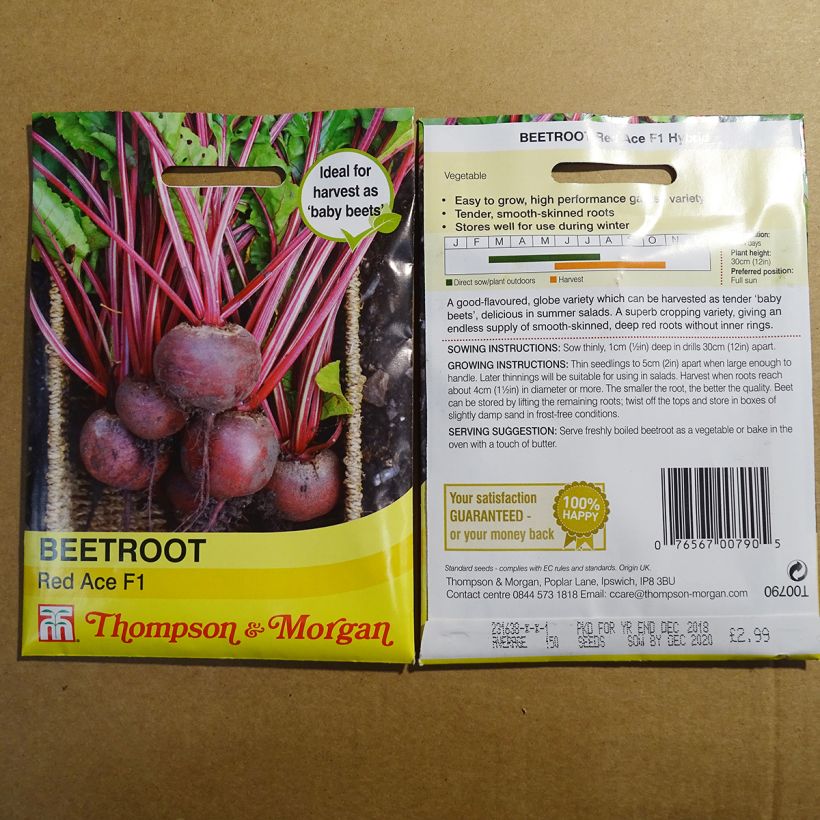 Example of Red Ace F1 Beetroot - Beta vulgaris per pack of 150 seeds specimen as delivered