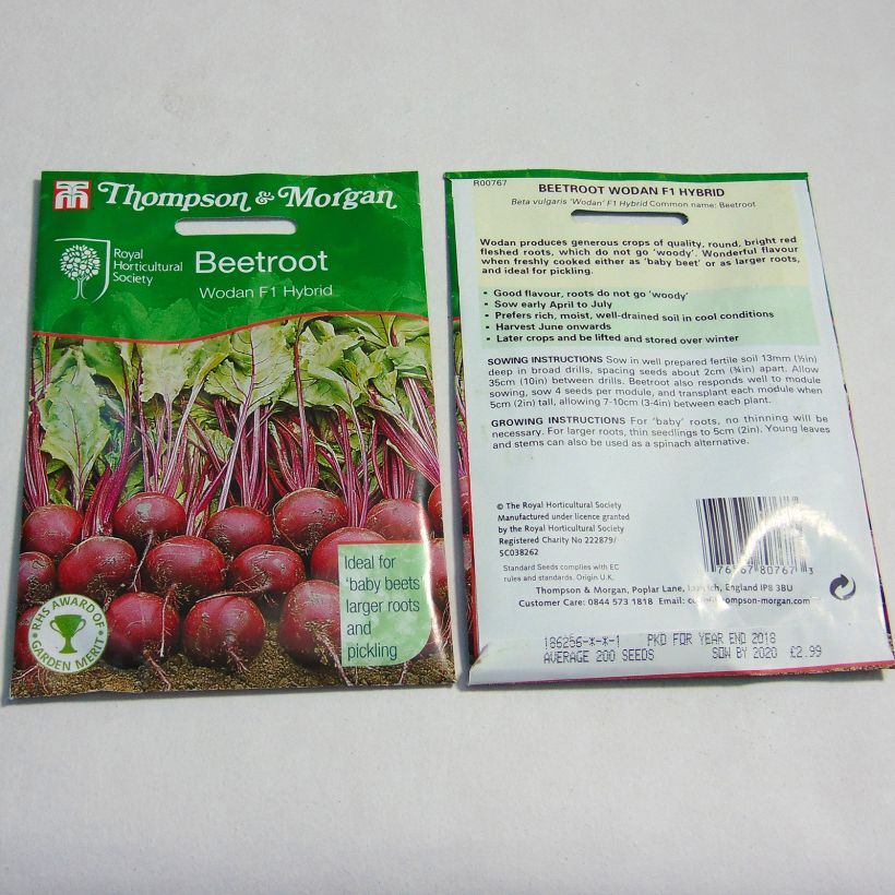 Example of Wodan F1 Red Beetroot - Beta vulgaris per pack of 200 seeds specimen as delivered