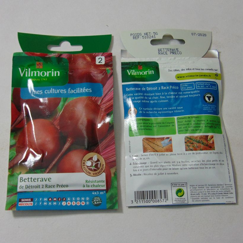 Example of Beetroot Detroit Globe 2 Préco - Vilmorin Seeds seeds per pack of 250 seeds (5g) specimen as delivered