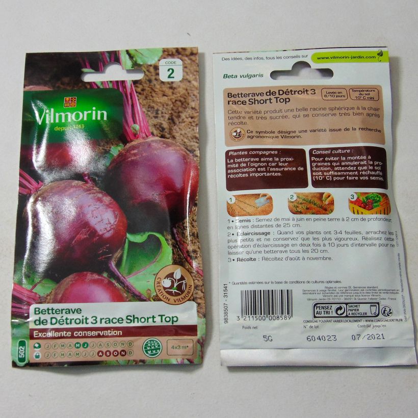 Example of Beta vulgaris Detroit 3 Short Top per pack of 250 seeds (5g) specimen as delivered