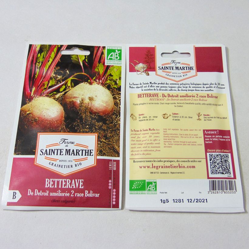 Example of Organic Detroit Improved 2 Bolivar Beetroot - Ferme de Sainte Marthe seeds - Beta vulgaris specimen as delivered
