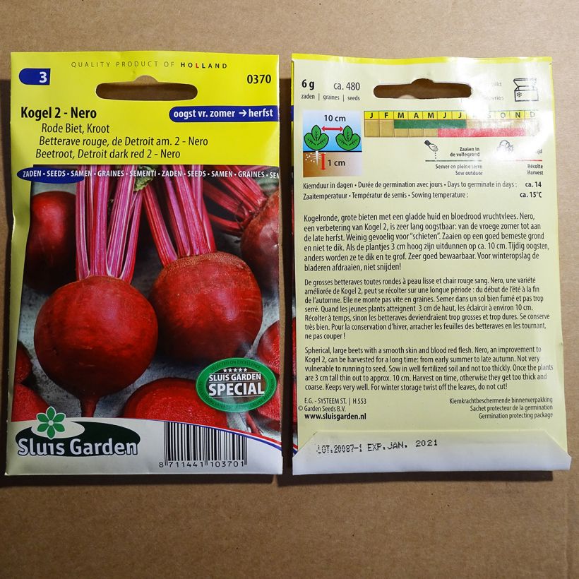 Example of Beetroot Detroit Globe 2 Nero per pack of 480 seeds (6g) specimen as delivered