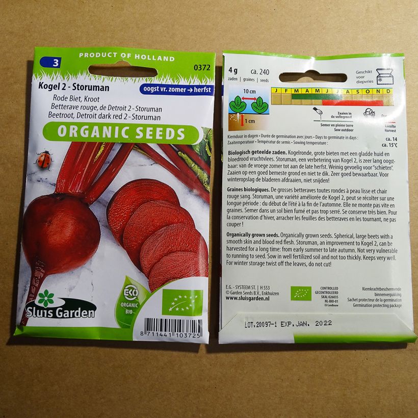 Example of Beetroot Detroit Globe 2 Storuman per pack of 240 seeds (4g) specimen as delivered